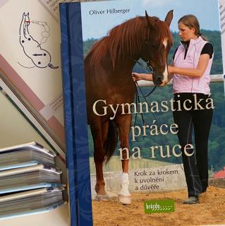 Gymnastická práce na ruce (Oliver Hilberger)