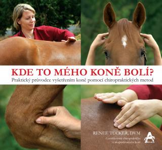 Kde to mého koně bolí? (Renee Tucker)