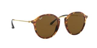 Ray-Ban ROUND RB 2447/1160 49