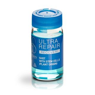 Lendan Recovery Ultra Repair pro regeneraci vlasů 6 x 10 ml