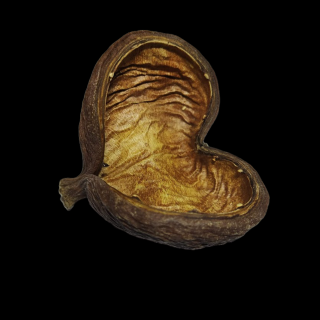 Badamský ořech - Badam nut