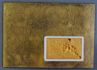 Akvarel Kremer - IRIODIN® 300 GOLD PEARL, Colibri Gold (plast, 3 x 1,8 x 1 cm) (Kremer Akvarel)