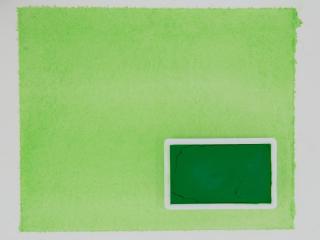Kremer akvarel - studiový pigment světle zelená (plast, 3 x 1,8 x 1 cm) (Kremer Akvarel)