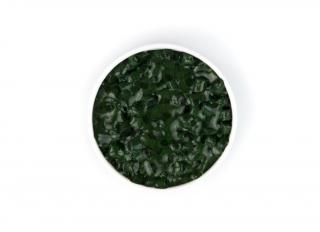 Kremer Retušovací barva v Paraloid™ B 72 Bohemian Green Earth (Kremer Color Chips -Bohemian Green Earth)