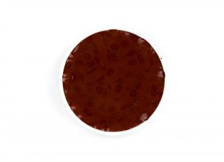 Kremer Retušovací barva v Paraloid™ B 72 Dark Burnt Sienna (Kremer Color Chips - Dark Burnt Sienna)