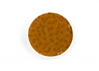 Kremer Retušovací barva v Paraloid™ B 72 Raw Sienna, Italian (Kremer Color Chips - Raw Sienna, Italian)