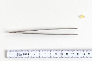 Pinzeta anatomická 15 cm (Pinzeta anatomická vhodná na odstraňování drobných nečistot)