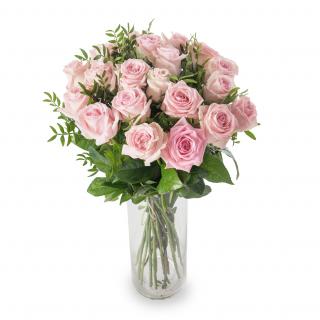 Růže Holandské 50 cm - různé barvy Barva růží: Rudá/bílá