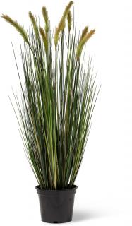FOXTAIL GRAS - umělá tráva Výška: 90 cm