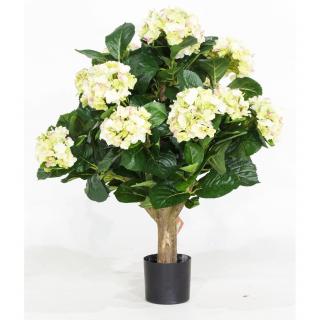 HYDRANGEA - Hortenzie, krémová Výška: 62 cm