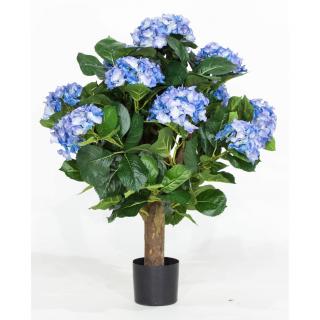 HYDRANGEA - Hortenzie, modrá Výška: 62 cm