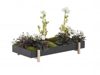 Květináč od Design House Stockholm Botanic Tray