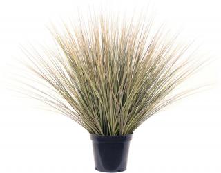 ONION GRASS - červená, 76 cm