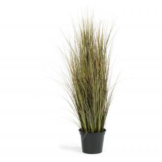 ONION GRASS - červená Výška: 91 cm