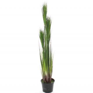 ONION GRASS - zelená Výška: 122 cm