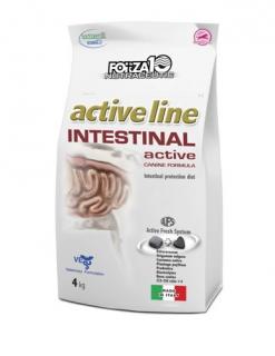 Forza 10 Intestinal Active Množství: 10 kg