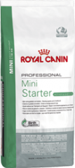 Royal Canin Mini Starter - originál Francie Množství: 20 kg