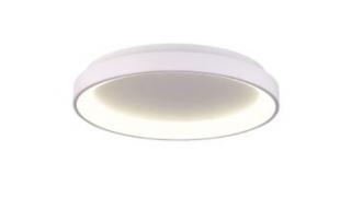 Stropní LED svítidlo Palnas Dita Barva: Bílá, Chromatičnost: 3000/4000K, Ø - Průměr: 78 cm