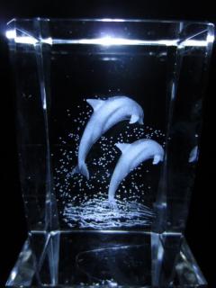 Krystal 3D Delfín 5 x 5 x 8 cm