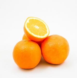 Pomeranč hořký