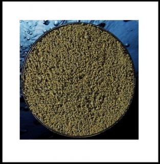 Pelety Crush(Drcené) Green Betaine Do 0,8Mm 0,5 Kg