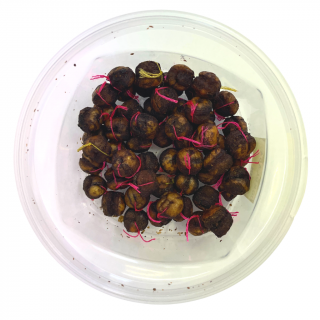 Rohlíkové boilies 8 mm 30 gr Příchuť: halibut
