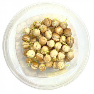 Rohlíkové boilies 8 mm 30 gr Příchuť: tvarůžky