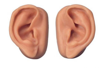 Akupunkturní uši, sada pro 10 studentů (Anatomické modely)