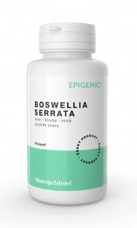 Epigemic Boswellia Serrata 90 kapslí