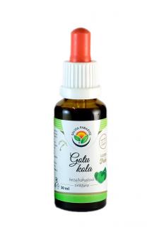 Gotu kola AF tinktura Balení: 30 ml