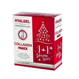 Hyalgel Collagen MAXX vánoční balení 2x500 ml