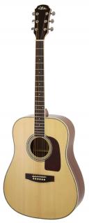 Aria AD-20CE