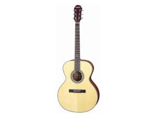 Aria ASP130 - akustická kytara-zboží bylo vystaveno na prodejně