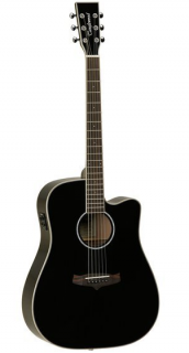 Tanglewood TW28 SLBK CE