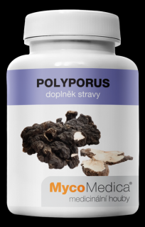 Polyporus