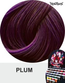 Directions Barva na vlasy Plum 88ml