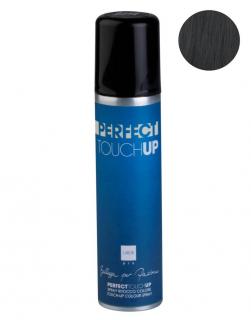 Labor Perfect TouchUp Sprej na šediny a odrosty pro perfektní krytí 75ml Barva: Černá