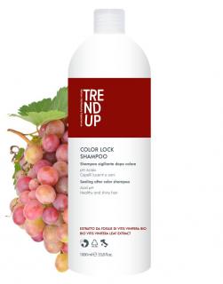 Trend up COLOR LOCK Šampon pro barvené vlasy, antioxidační s kyselým pH Obsah: 1000 ml