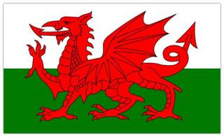 Vlajka Wales 90x150cm č.98 (Wales státní vlajka)