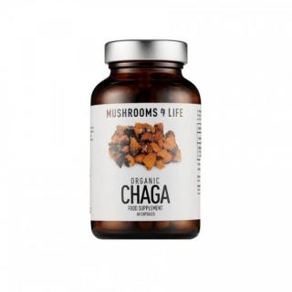 Chaga, 60 kapslí