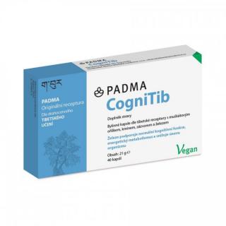 CogniTib - vitalita a soustředení se železem, 40 kapslí