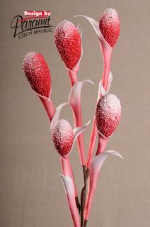 Aranžovací květina rákos červená 90 cm