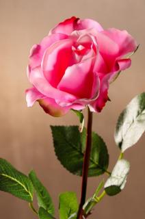 Dekorační květina Růže světle růžová 67 cm