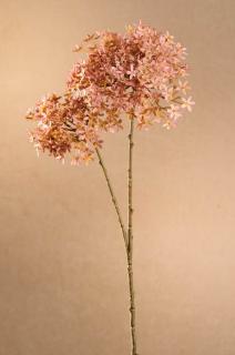 DRY CROWN FLOWER Aranžovací květina 71 cm růžová