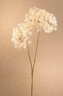 DRY CROWN FLOWER Aranžovací květina bílá 71 cm