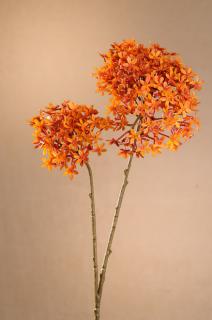 DRY CROWN FLOWER Aranžovací květina oranžová 71 cm