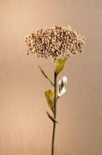DRY FULL BLOOM SEDUM Aranžovací květina krémová 46 cm