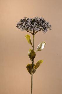 DRY FULL BLOOM SEDUM Aranžovací květina modrá 46 cm
