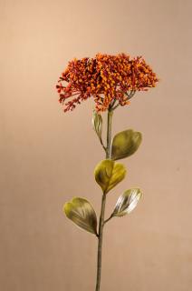 DRY FULL BLOOM SEDUM Aranžovací květina oranžová 46 cm