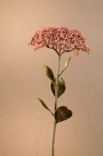 DRY FULL BLOOM SEDUM Aranžovací květina růžová 46 cm